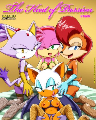 [Palcomix (bbmbbf)] The Heat of Passion (Sonic The Hedgehog)