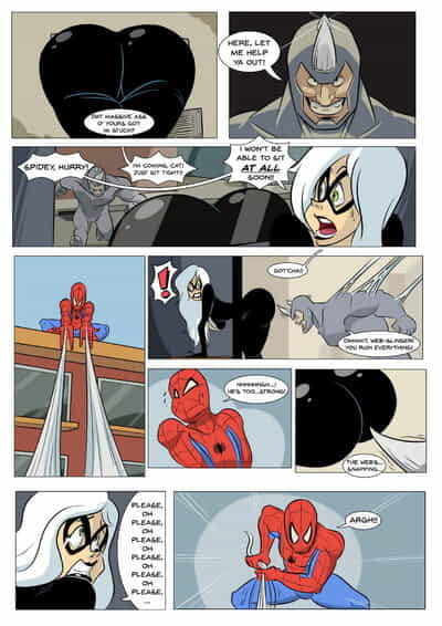 spider man en zwart Kat