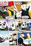 panda Termin 4