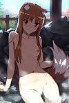 [Ajisaidenden (Kawakami Rokkaku, Takanashi Rei)] Wacchi to Nyohhira Bon FULL COLOR DL Omake (Spice and Wolf)  {shippoTranslations} [Digital]