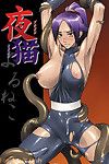(comic Lâu đài 2005) [nagaredamaya (bang you)] yoruneko (bleach) [english] [ero otoko]