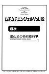 muchi muchi 7 (terada tsugeo, hikami dan) muchi muchi ángel vol. 12 (shijou saikyou no deshi kenichi)