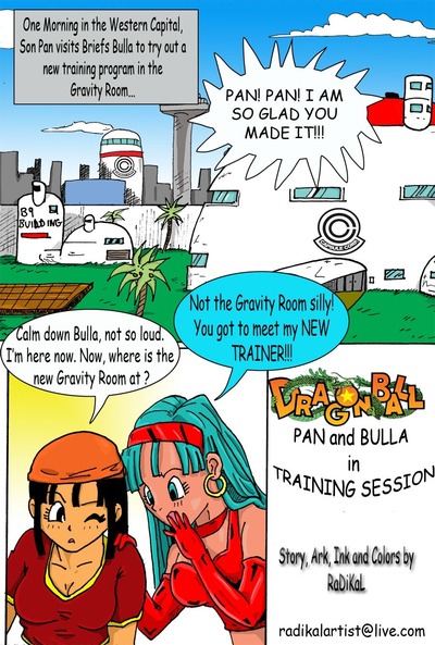 Dragon Ball- Pan And Bra\