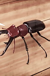 casgra mr. roachcock’s bug zapper Teil 2